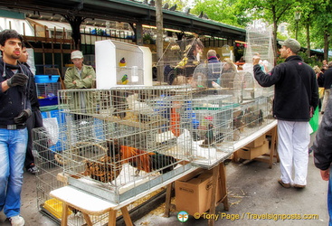 The Marché aux oiseaux only operates on Sundays